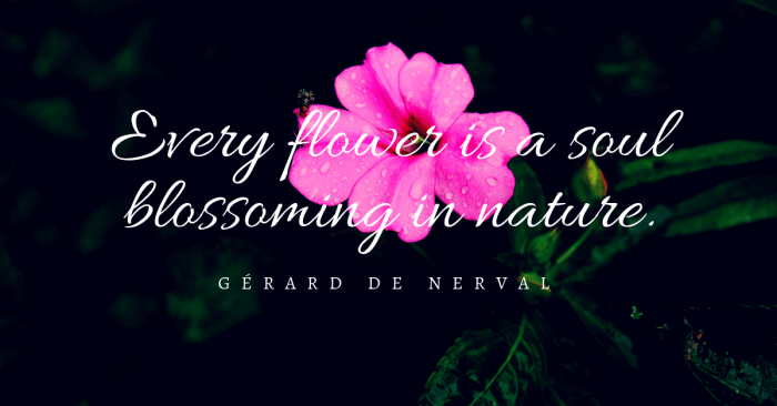 Quotes About Flowers Blooming