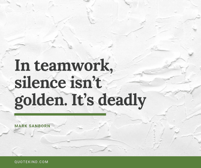 Quotes About Leadership and Teamwork