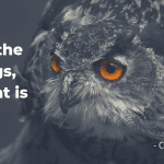 quotes about owl, owl night quotes, owl-themed quotes, owl wisdom quotes,