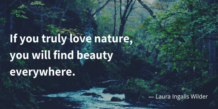 If you truly love nature you will find beauty everywhere. - 35 Delicate Quotes about Nature and Love