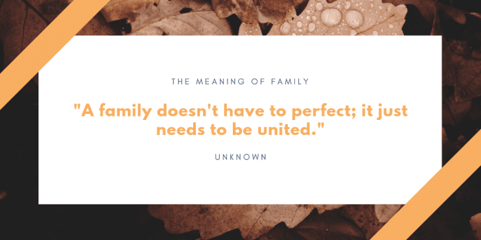 75 Quotes About The Meaning of Having Family (BEST REMINDERS)