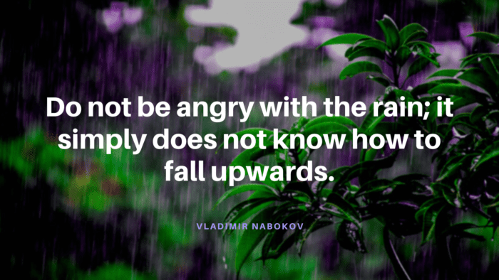 Do not be angry with the rain it simply does not know how to fall upwards. - 29 Rain Quotes to Lift Your Happiness, Spirit, and Make You Happy or Laugh