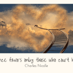 Chance favors only those who court her. - 27 Quotes About Taking Chances Now for Your Future