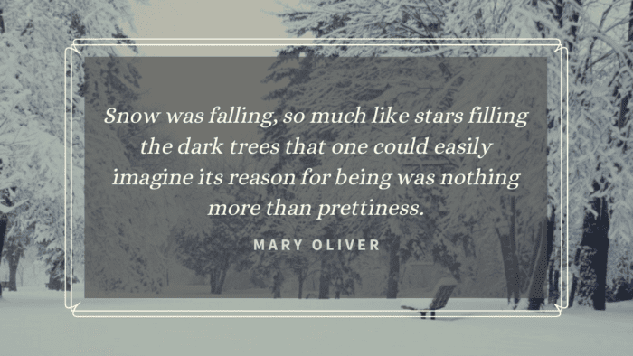 Snow was falling so much like stars filling the dark trees that one could easily imagine its reason for being was nothing more than prettiness. - 20 Quotes on Snowfall that will give You Warmth