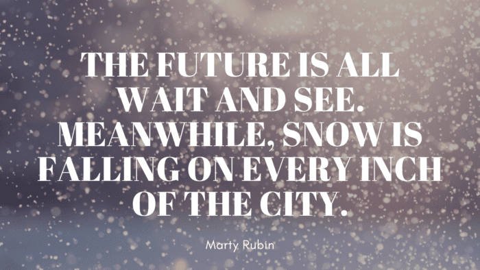 The future is all wait and see. Meanwhile snow is falling on every inch of the city. - 20 Quotes on Snowfall that will give You Warmth