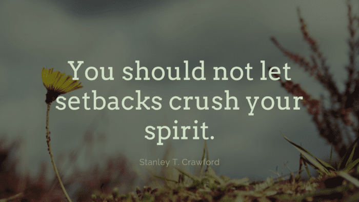 You should not let setbacks crush your spirit. - 52 Setback Quotes Inspire and Motivated You