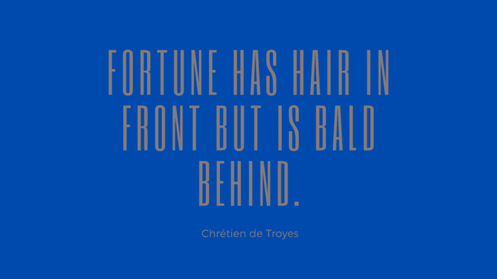 Fortune has hair in front but is bald behind. - 32 Fortune Quotes from Famous People and giving Spirit on Life