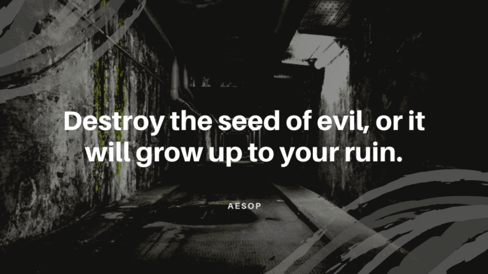 Destroy the seed of evil or it will grow up to your ruin. - 35 Short Evil Quotes will Remove Your Dark Mind