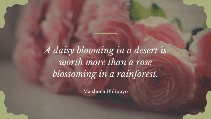 A daisy blooming in a desert is worth more than a rose blossoming in a rainforest. - Get Inspiration and Motivation from 70 Roses Quotes