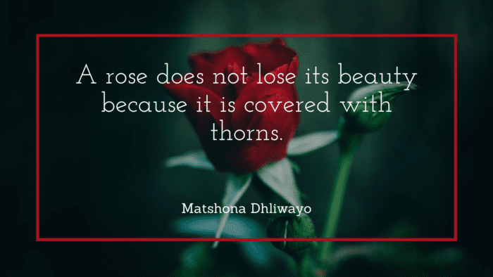 A rose does not lose its beauty because it is covered with thorns. - Get Inspiration and Motivation from 70 Roses Quotes