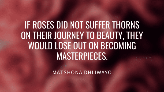 If roses did not suffer thorns on their journey to beauty they would lose out on becoming masterpieces. - Get Inspiration and Motivation from 70 Roses Quotes
