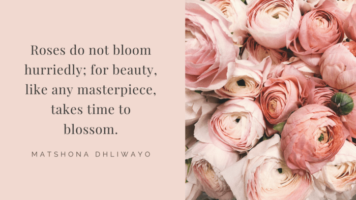 Roses do not bloom hurriedly for beauty like any masterpiece takes time to blossom. - Get Inspiration and Motivation from 70 Roses Quotes
