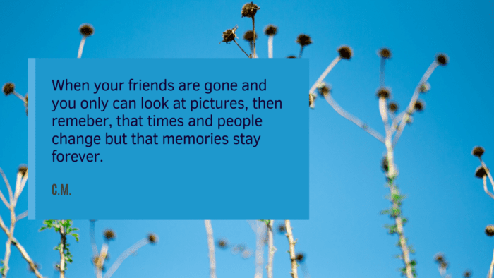 When your friends are gone and you only can look at pictures then remeber that times and people change but that memories stay forever. - 22 Best Quotes About Lost Friend to get again Spirit in Life