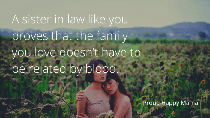 A sister in law like you proves that the family you love doesnt have to be related by blood. - 15 Best Quotes for Your Sister In Law