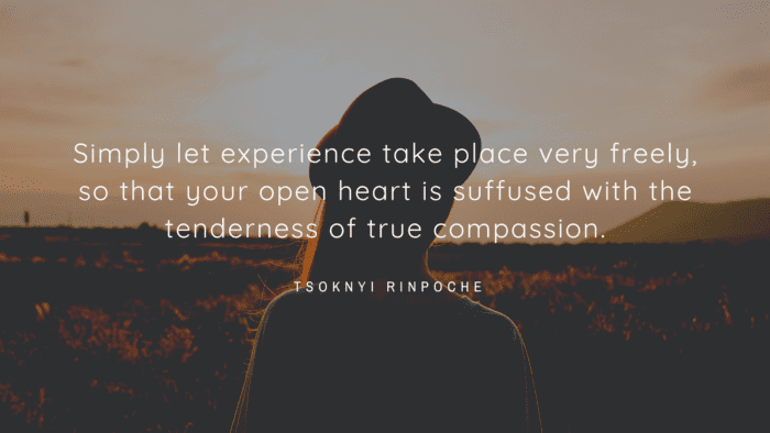Simply let experience take place very freely so that your open heart is suffused with the tenderness of true compassion. - 40 Calm Quotes that are Good for Brain and Heart