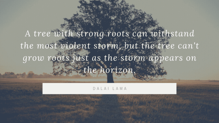 A tree with strong roots can withstand the most violent storm but the tree cant grow roots just as the storm appears on the horizon. - 40 Quotes About Storms Make You Strong Through Life Problem