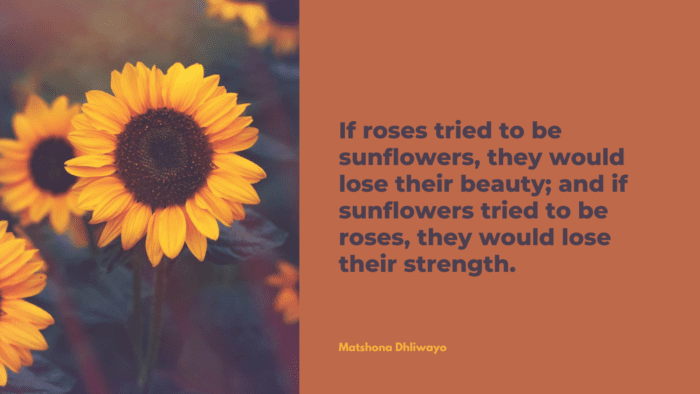 If roses tried to be sunflowers they would lose their beauty and if sunflowers tried to be roses they would lose their strength. - 31 Sunflower Quotes as Life Power for Yourself