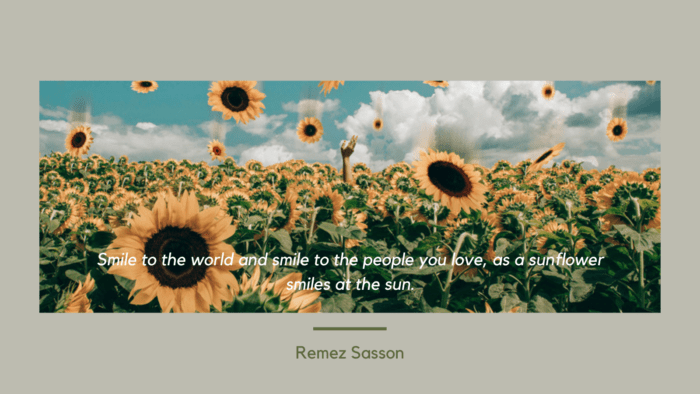 Smile to the world and smile to the people you love as a sunflower smiles at the sun. - 31 Sunflower Quotes as Life Power for Yourself