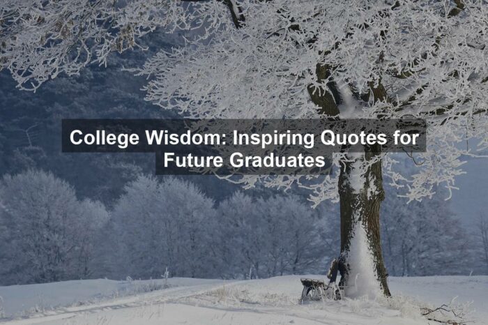 g1978f7df4e98876e39aa816f1cba27f469149a81593f319faf3b164cddd10a5ec63bdf5ca40903ef5dd010fa1c5ed874f03924592a6f8154cedc9da1c27ad8b2 1280 - College Wisdom: Inspiring Quotes for Future Graduates