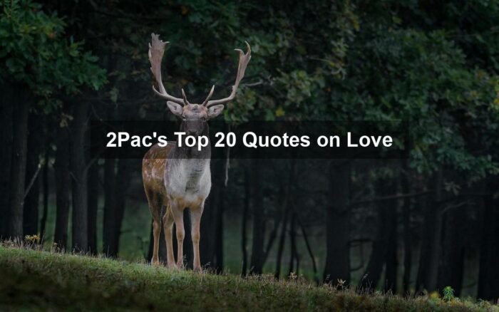 2Pac’s Top 20 Quotes on Love
