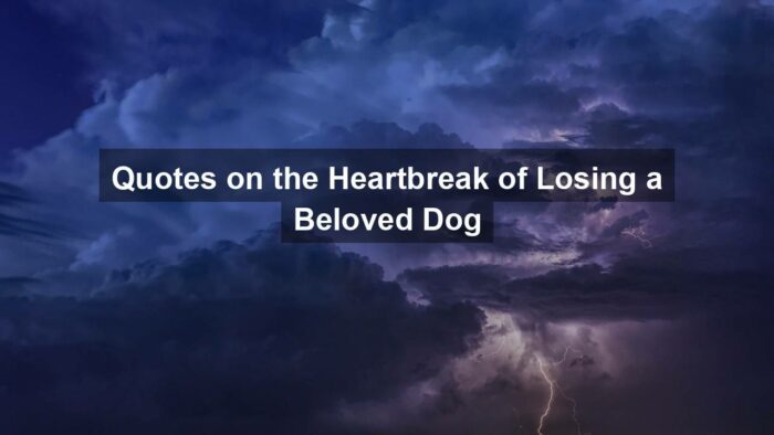 g2ed1220b51ab1de68e994ee8c196491aedffedda59d7d005f844c0ae6887640d4c36ea55c04cb3a64b01f3e9727f1e254bd6ffea82eeb084acec29d76187cdfb 1280 - Quotes on the Heartbreak of Losing a Beloved Dog