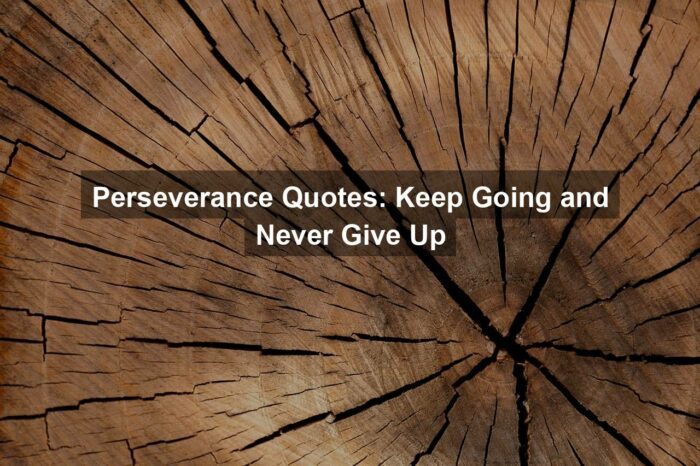 Perseverance Quotes: Keep Going and Never Give Up