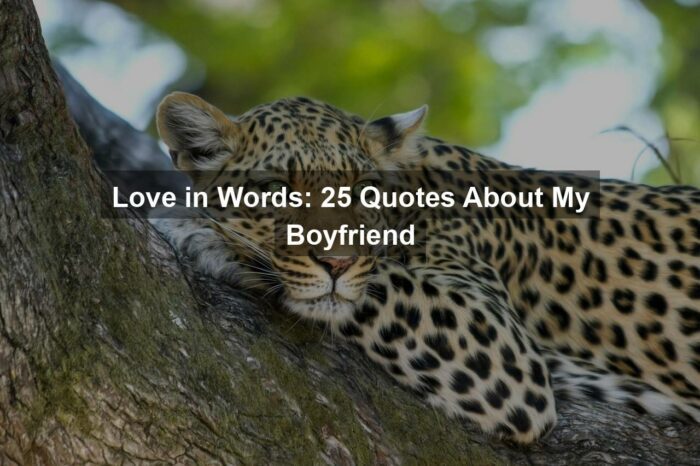 Love in Words: 25 Quotes About My Boyfriend
