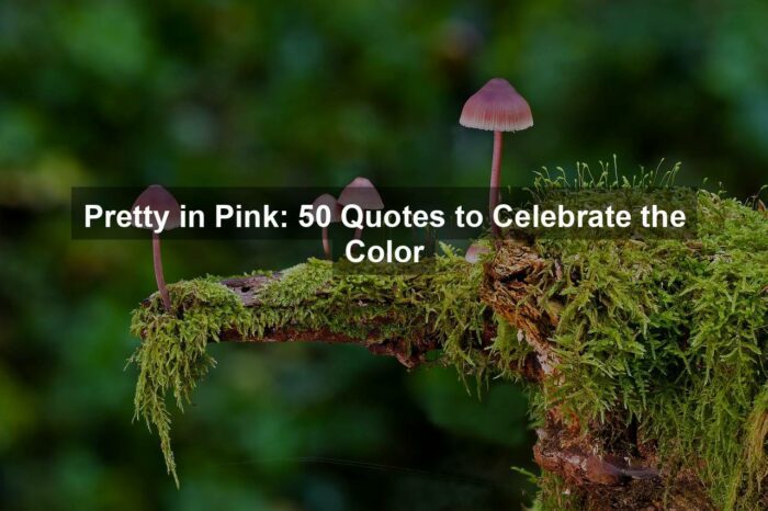 Pretty in Pink: 50 Quotes to Celebrate the Color