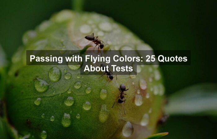 Passing with Flying Colors: 25 Quotes About Tests