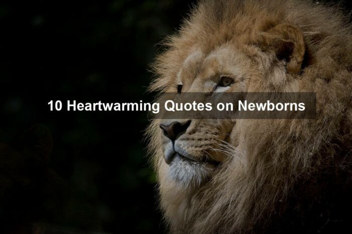 ga554afbef207a7f73a2abe691f59f6c415f5d33de03865def1e12d7d69b59df5855a1e9030e169bca62c77de1f313f25fc24b3b1bd4a2d4708779bb1f770f39f 1280 - 10 Heartwarming Quotes on Newborns
