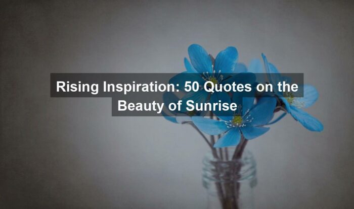Rising Inspiration: 50 Quotes on the Beauty of Sunrise