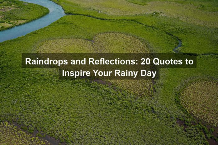 Raindrops and Reflections: 20 Quotes to Inspire Your Rainy Day