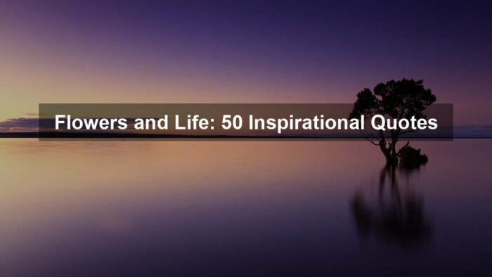 gd3f6677a328271009f1568ad5854cce4ee682169cbc89ee5fb289dba317c3043a7d659fb369834a0ea5cc3aa274bc118d26e757f696e21b53679d23b9c1af42f 1280 - Flowers and Life: 50 Inspirational Quotes