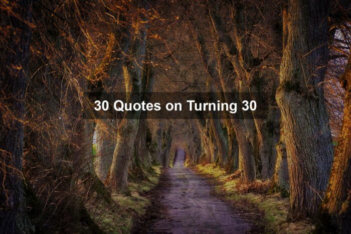 gecb050a5b37d54831731d492b6a8dcf5262ab2cc11942ce518b838d1df76ce87b03b3498034afe511e10bc44de884837926da6efbcd926160b389c4f31143361 1280 - 30 Quotes on Turning 30