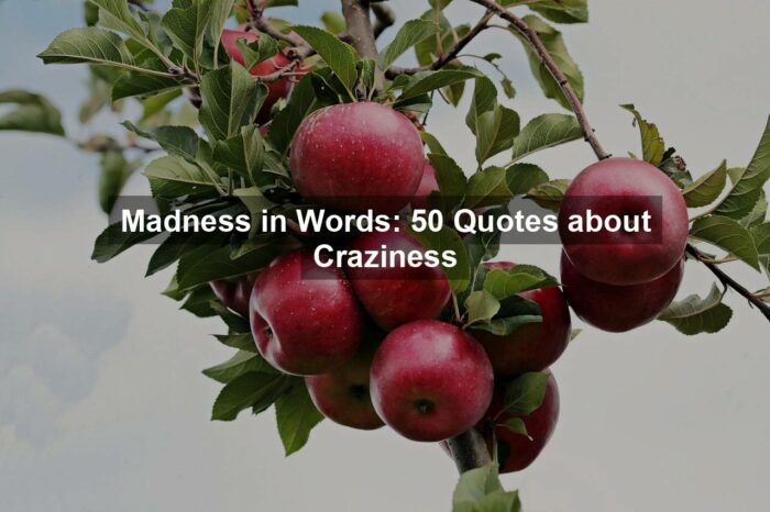 Madness in Words: 50 Quotes about Craziness