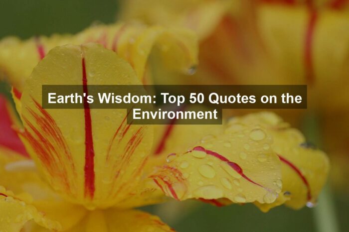 Earth’s Wisdom: Top 50 Quotes on the Environment