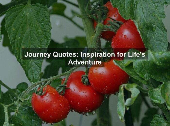Journey Quotes: Inspiration for Life’s Adventure