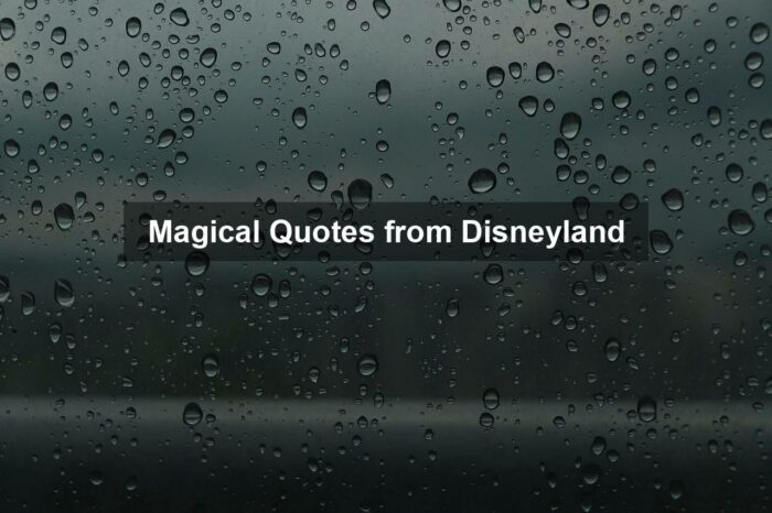 Magical Quotes from Disneyland