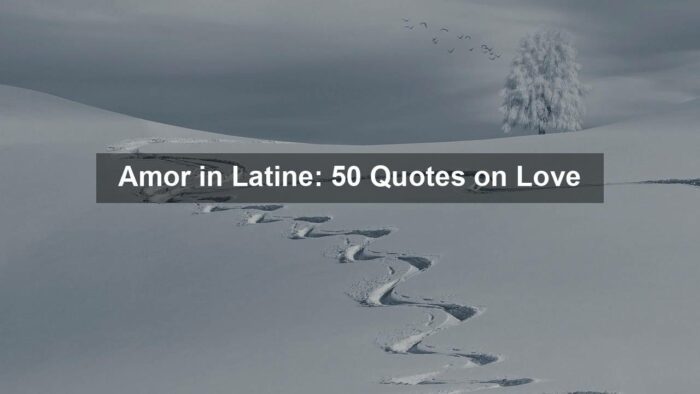 Amor in Latine: 50 Quotes on Love