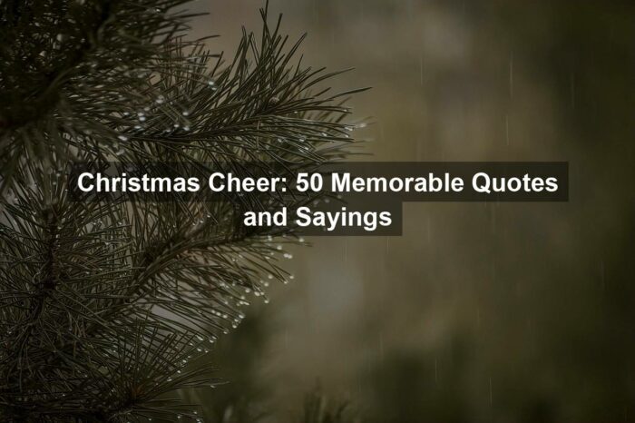 g496b29b87ce5b5deca9279395c3a73e76ce9373d14bc9c2010fb7dd53b8c69e9c3b17f29bbdfb5715770ba598dc40c44ccc27da7220520183a636b25156398ff 1280 - Christmas Cheer: 50 Memorable Quotes and Sayings