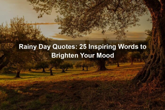 Rainy Day Quotes: 25 Inspiring Words to Brighten Your Mood