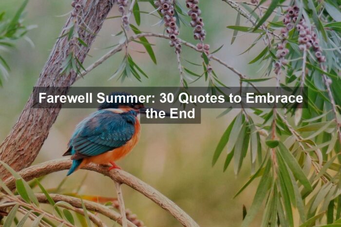 Farewell Summer: 30 Quotes to Embrace the End