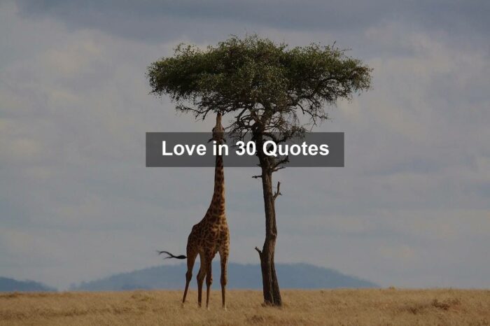 Love in 30 Quotes