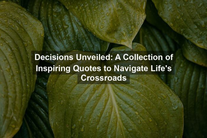 Decisions Unveiled: A Collection of Inspiring Quotes to Navigate Life’s Crossroads