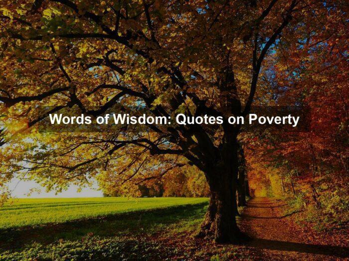 Words of Wisdom: Quotes on Poverty