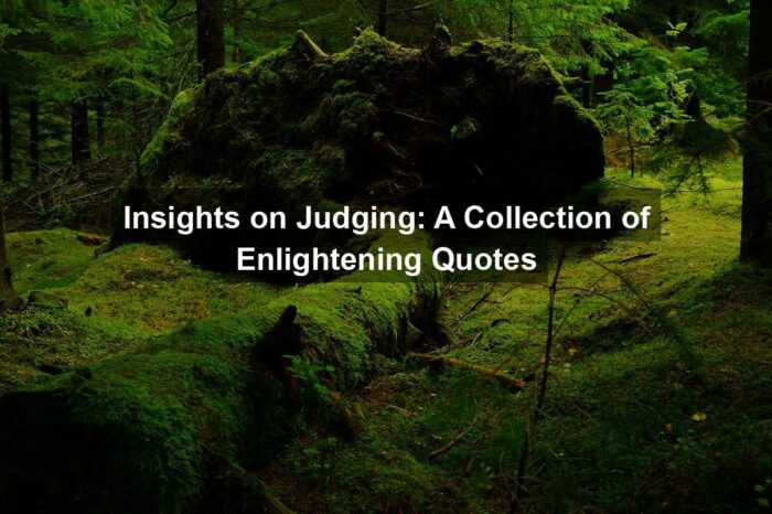 Insights on Judging: A Collection of Enlightening Quotes