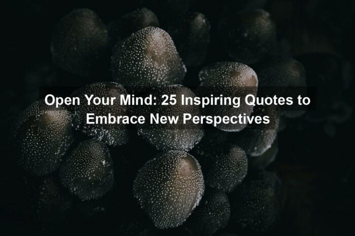 Open Your Mind: 25 Inspiring Quotes to Embrace New Perspectives