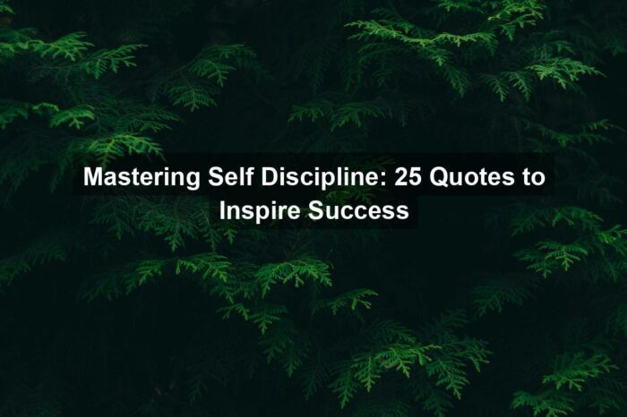 ge12ff7e8cba03b3e22e4e52fde87a7d70c6ed725da74d78bb42eca23106e1995894f36077593831759486cea00a9dde76f7d13d2c3f005cc48f1fe8efab6909d 1280 - Mastering Self Discipline: 25 Quotes to Inspire Success