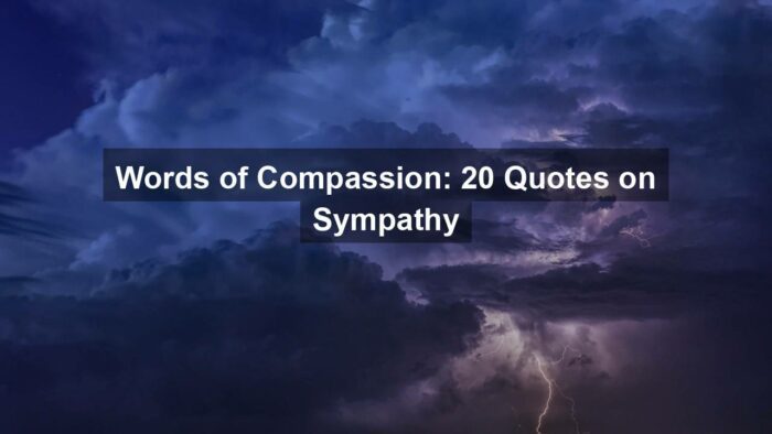 geba7dadab934c824509a53092498effbc5109331dac9488232eb9d7d8e84dfb6b45ba5c1d5f0ffdec2e5f4070722a219f5ea1924b926695ecf14bd6f826e2963 1280 - Words of Compassion: 20 Quotes on Sympathy
