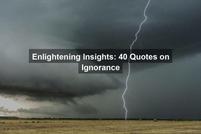 Enlightening Insights: 40 Quotes on Ignorance